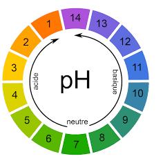 PAPIER PH 1-14 EN ROULEAUX 5 METRE