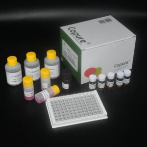 Kit ELISA
