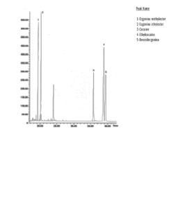 Drogues dans l'urine
