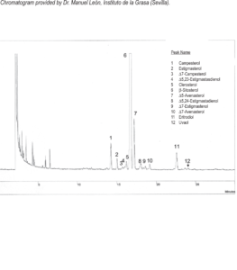 Stérols dans l'huile d'olive